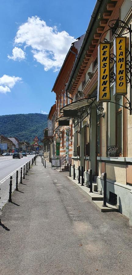 Pension Flamingo Brašov Exteriér fotografie
