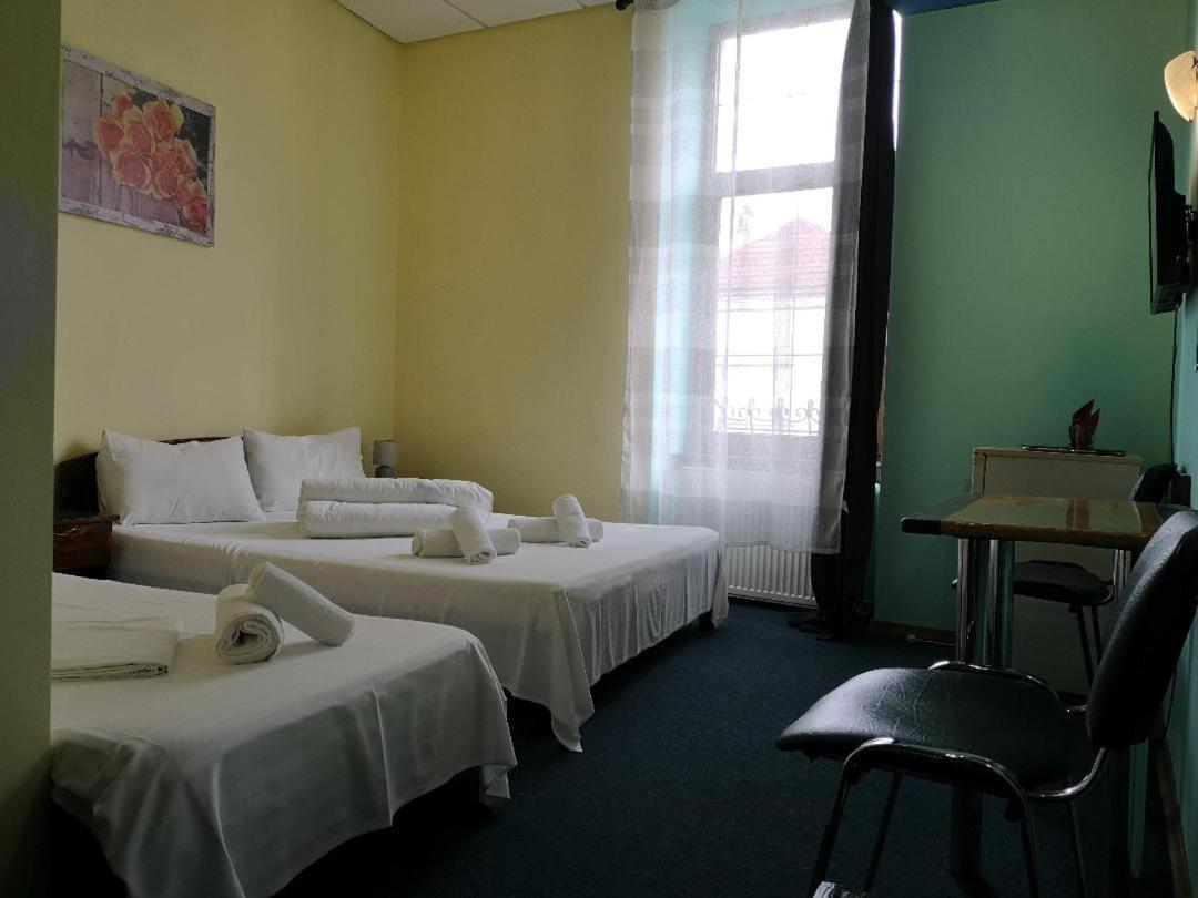 Pension Flamingo Brašov Exteriér fotografie